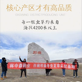 其他药食同源;参类滋补品;花果茶