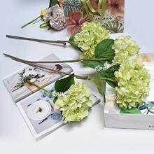 ���S����ϵ��   �b� ����  �ٻ�  �͏d �Gɫ���ҵȷ��� �[��