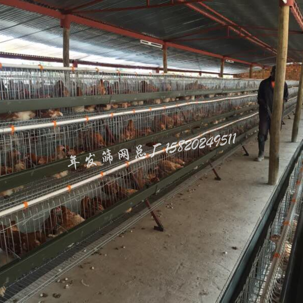 广州阶梯式养殖铁丝网笼 不生锈使用年限达8年蛋鸡鸡笼