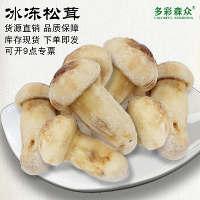 批发香格里拉松茸速冻云南特产3-5CM菌菇野外生长菌新鲜松茸冻品|ms