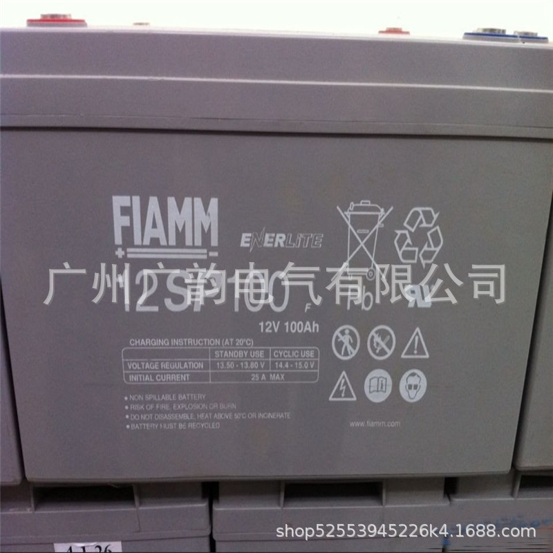 广东非凡蓄电池6sp300非凡免维护6v300ah蓄电池 意大利非凡