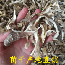 基地新貨 平菇干 鮑魚菇500g 真姬菇 鳳尾菇 條菇 食用菌大貨批發