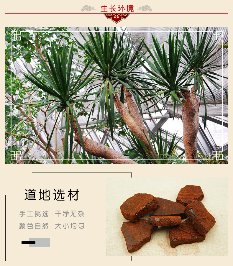 麒麟竭树,_大山谷图库