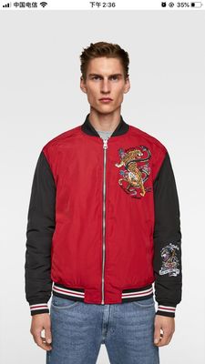 Foreign trade ZA2019 Autumn and winter Thin section cotton-padded clothes Stand collar Cotton jacket Embroidery Youth coat Europe and America Trend handsome