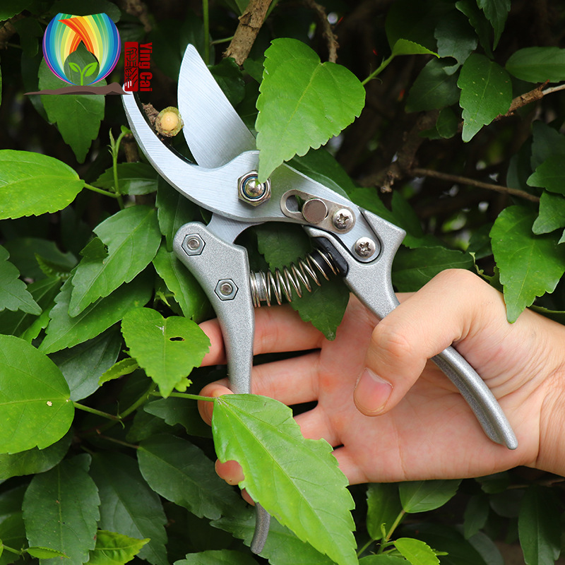 盈彩高碳钢SK5全铝合金手柄园林树枝剪强力阔口径粗枝果枝园林剪