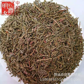 明霞药材 供应【侧柏叶】1000克批发零售 供应中药材 中草药