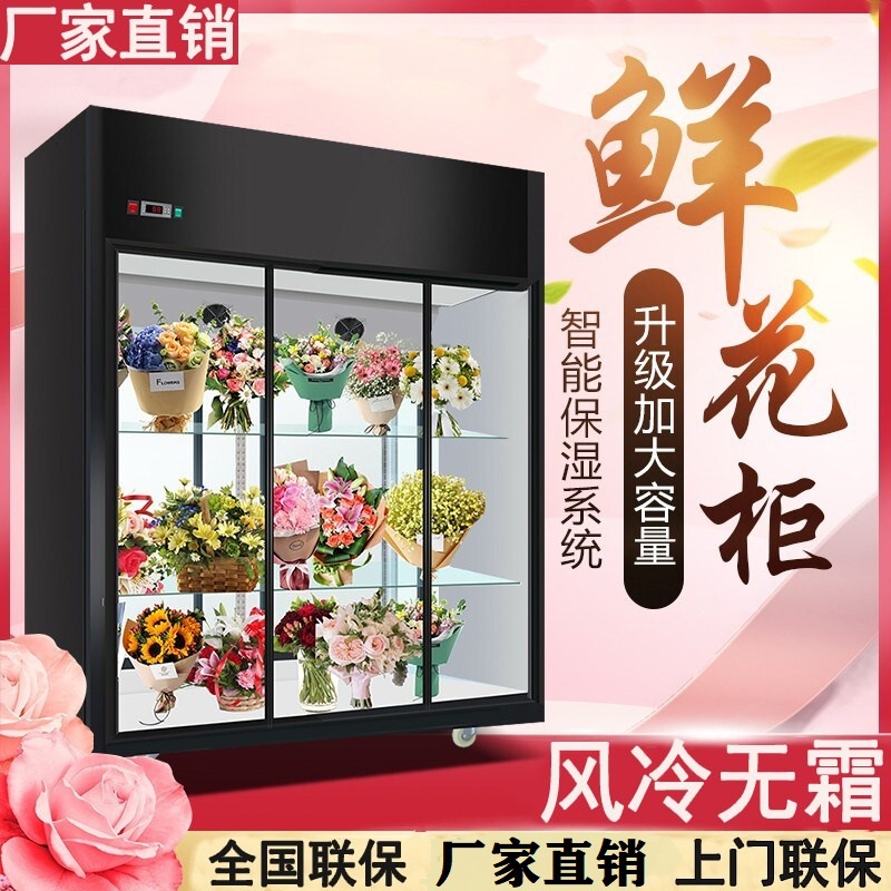 晟朗展示柜冷藏保鲜立式冰柜商用双门超市水果啤酒风冷冰箱饮料柜
