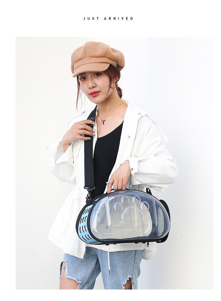 Cache_56b5a40cf846328d.