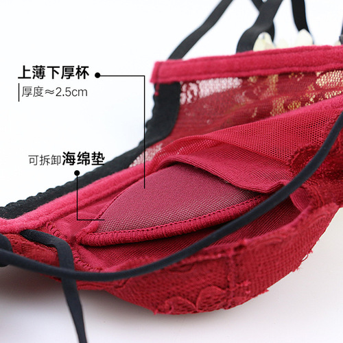 Cross-border European and American lace sexy beautiful back bra set thin cup underwear bright red animal year push-up small bra