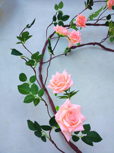 �S��ֱ�N����õ��늾��b��������ǻ�������Ժ�������͏d�̨����