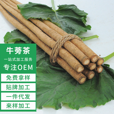 厂家批发新鲜黄金牛蒡台湾正品牛蒡保健食品原产地供应台湾食品|ms