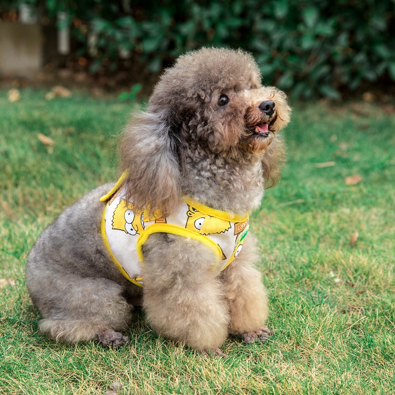 Patrón de dibujos animados suministros para mascotas correa de pecho para mascotas chaleco correa de perro suministros para mascotas al por mayor