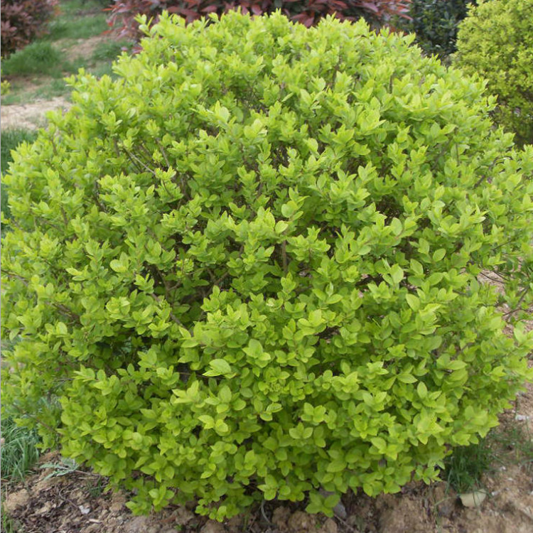 QQ截图20150709152933