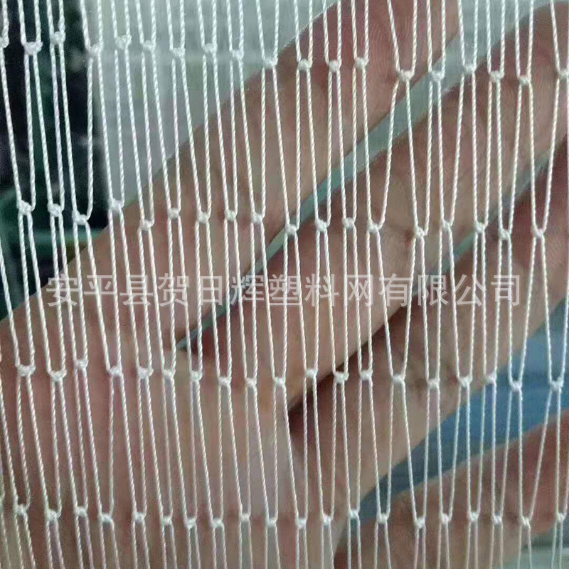 厂家现货供应防鸟网 蔬菜大棚果园园林防护网防鸟网3m*8m