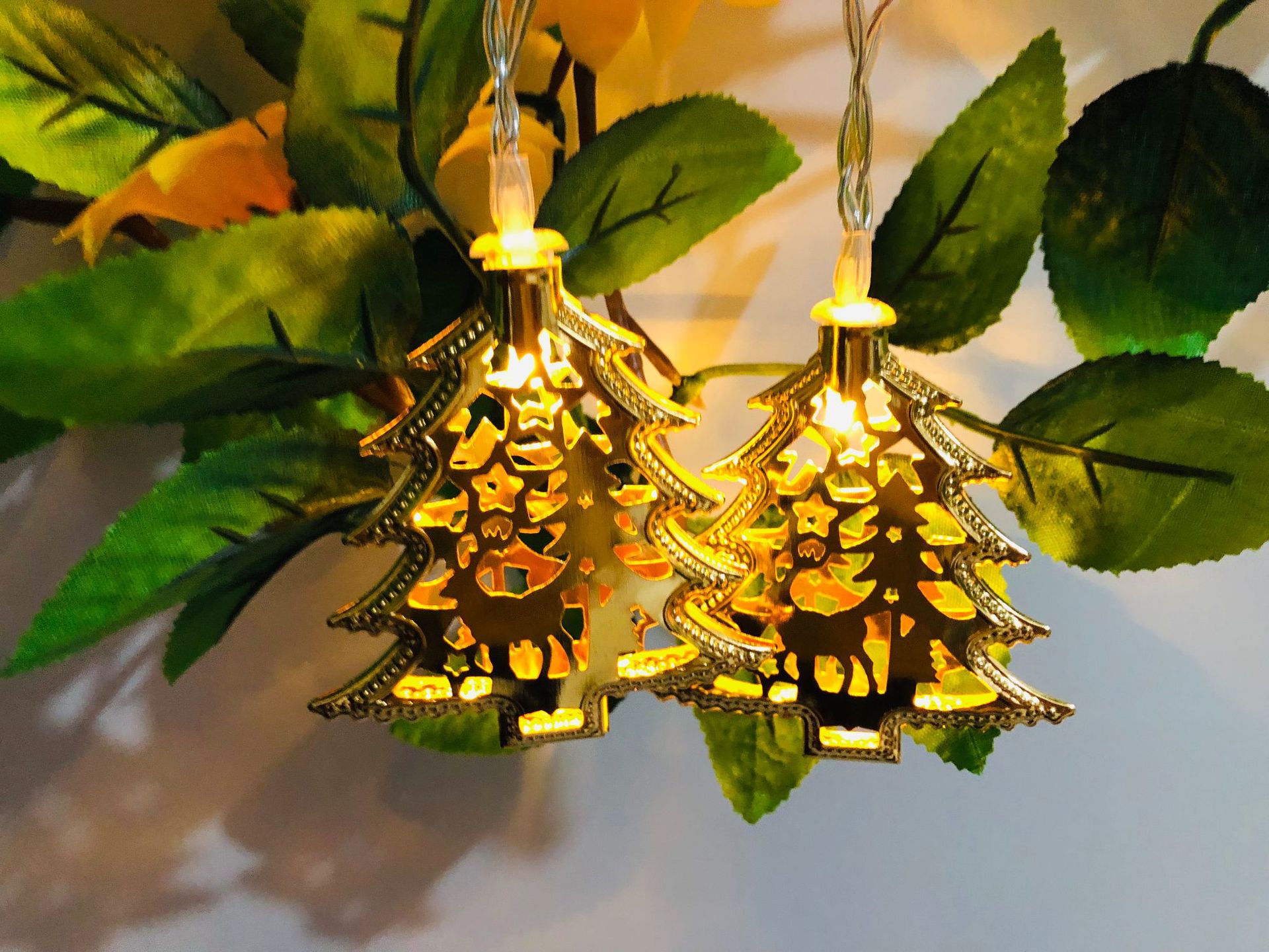 IMG_4891(20190511-233401)