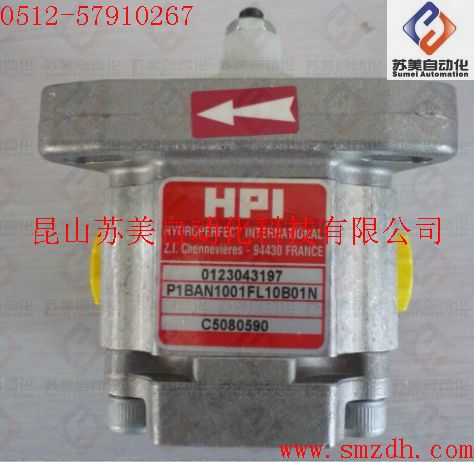 HPI-P1BAN1001FL10B01N，HPI齿轮泵，HPI油泵，HPI泵