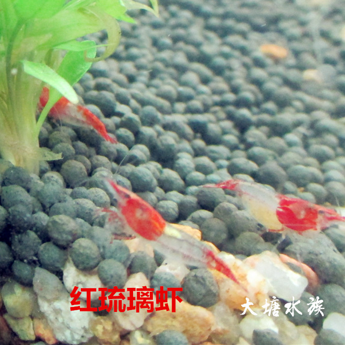 微信图片_20180820223336