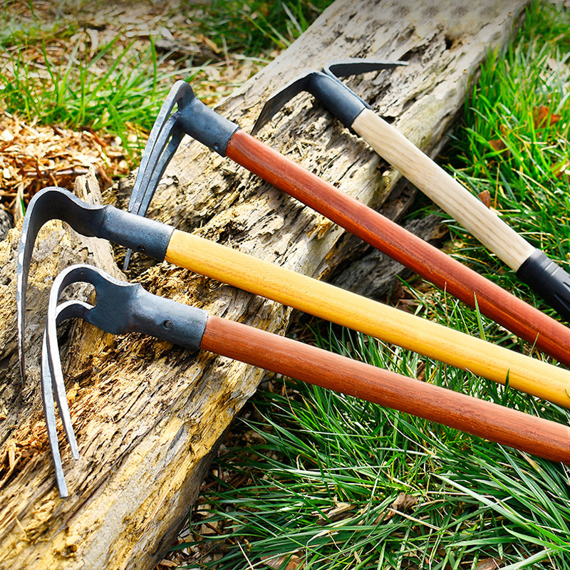 O1CN019JoEBw1qiKMNEk0M8_!!2200