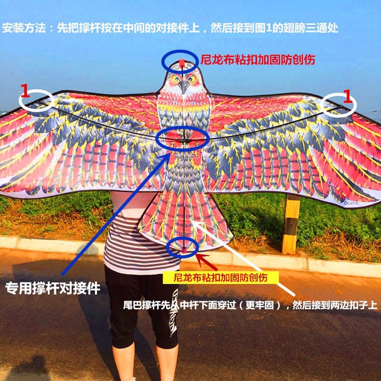 12286090606_379416190