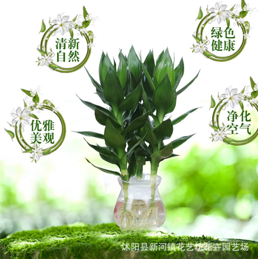 TB2jDzvsZtnpuFjSZFKXXalFFXa_!!