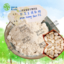 白芸豆提取物20:1 菜豆素 淀粉酶阻断剂 供应  白芸豆粉