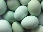 【1元特卖】农家院直供小河边笨养绿皮红心鸭蛋（30枚/箱）