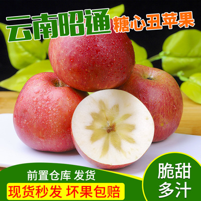雲南昭通冰糖心醜蘋果當季水果新鮮大果10斤裝