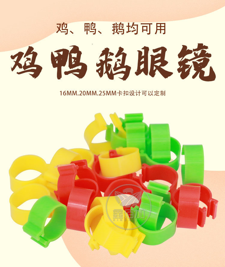 鸡脚环BB详情页 (1).jpg