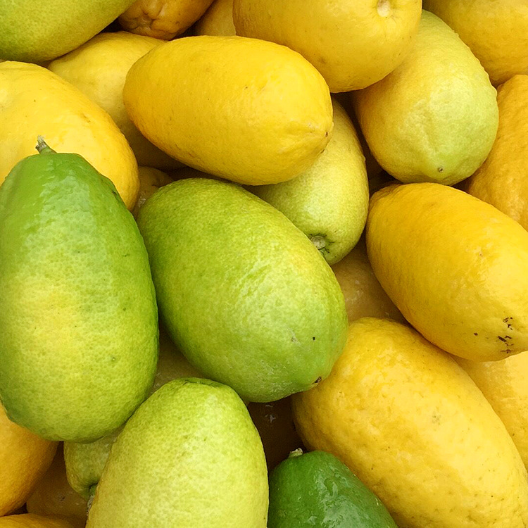 龙岩香水柠檬 即食柠檬一件待发 5斤装新鲜水果泡沫箱装送酸梅|ru