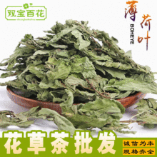 2023新货薄荷叶500g头茬薄荷叶散装清凉解暑薄荷叶批发大货花草茶