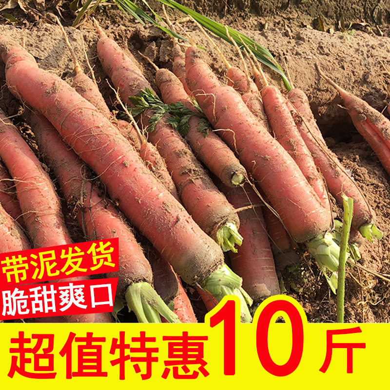 陕西沙地红萝卜 一件代发包邮可当蔬菜也可以当水果吃 带箱10斤装|ru