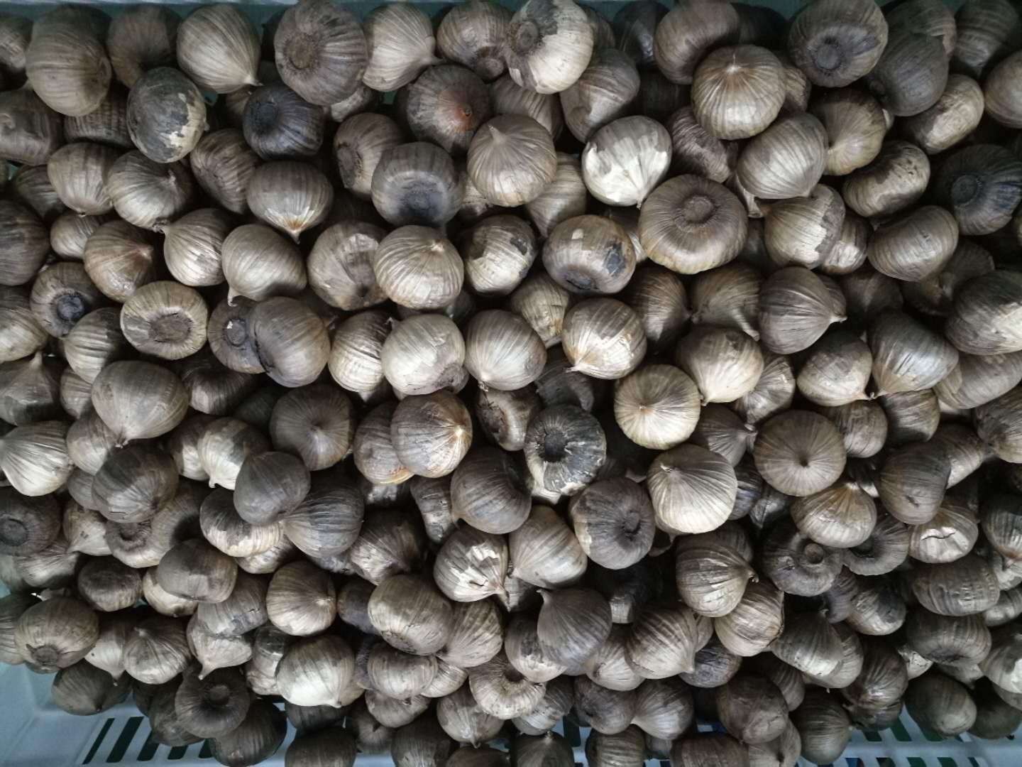 发酵独头黑蒜大量批发 山东济宁金乡特产  工厂贴牌