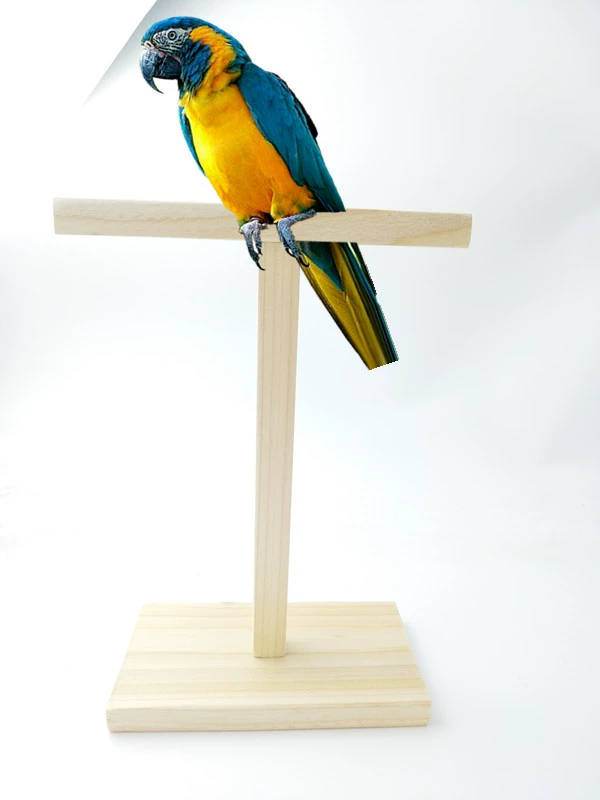 Оптовые поставки попугаев игрушечная подставка для дрессировки птиц стойка для укуса бар стойка для птиц аксессуары для клетки для птиц аксессуары для качелей