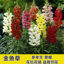 ~ݷN޸ݱNļNꎻݻNӾջ