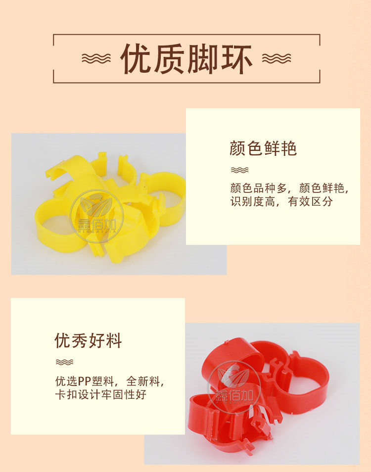 鸡脚环BB详情页 (3).jpg