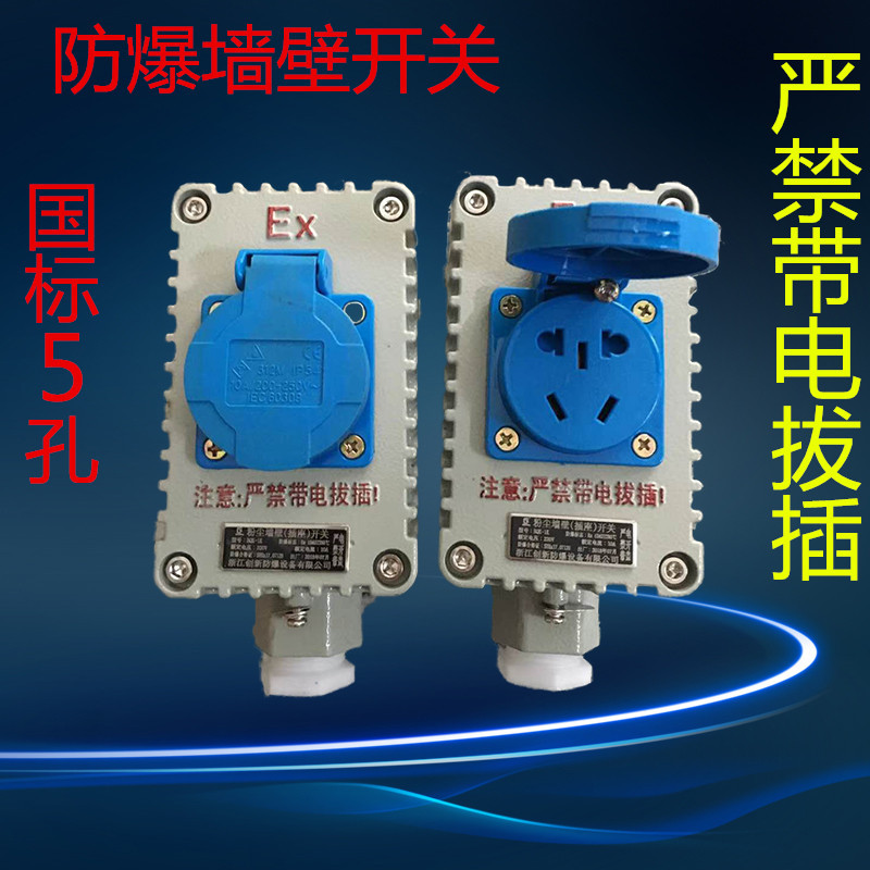 Explosion-proof switch 220V1234 Industry fire control Dust Socket 5 10A One, two, three, three 16a Wall outlet