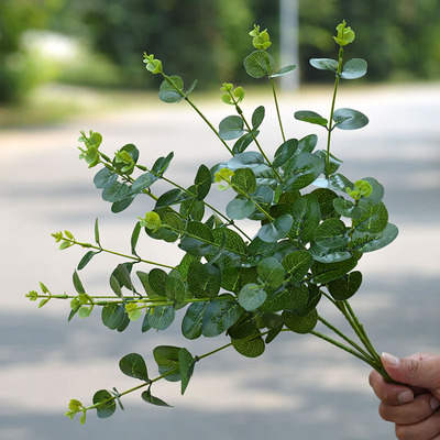 仿真尤加利彩色16叉金钱叶北欧婚庆仿真花森系插花艺装饰叶材假花|ru