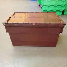 �S�ҹ������B�T���z�B�w������ �{ɫ�Ӻ����D�� ����ș�����D��