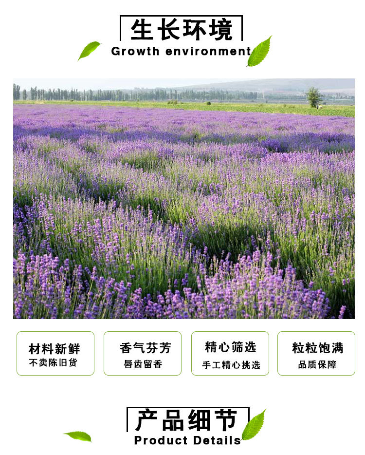 Dried Lavender Flowers (Lavandula angustifolia) — Loose Botanical Grade for Sachets & Herbal Blends key features