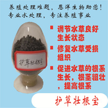 �o�݉Ѹ���