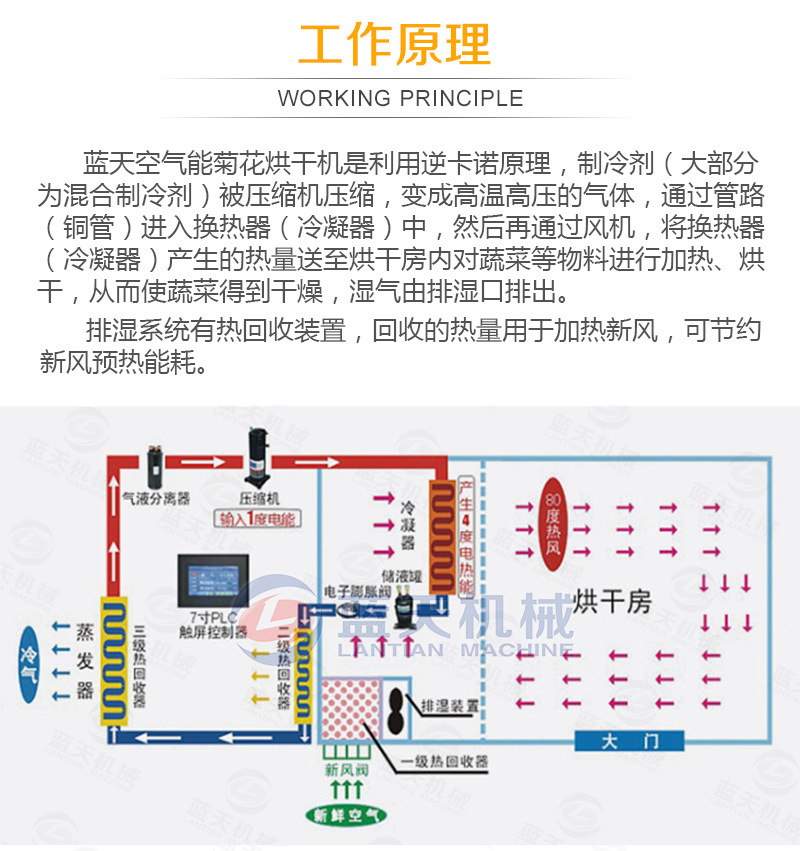 金丝皇菊烘干机_06.jpg