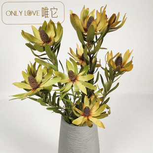 �M��ľ�ٺϸɻ������W�tins�ɻ��͏d�b[����Ȼ�L���滨Ǭ�ﻨ