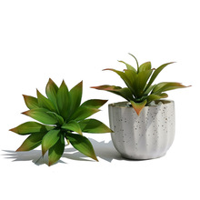 �������ֲ�����˲� �ҾӔ[��΢���^ɳ�Pdiy�b���� ֲ��Gֲ