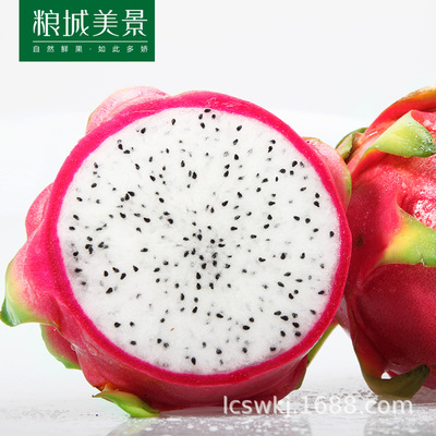 Vietnam Pitaya 1 fresh Season fruit Early adopters 3]