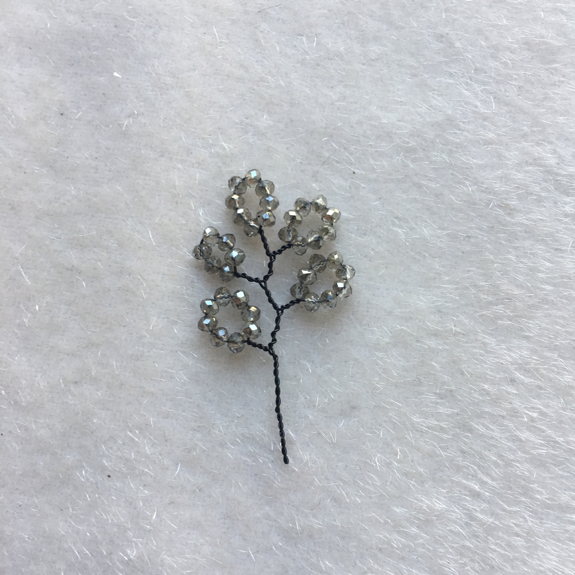 IMG_8896(20190524-075412)