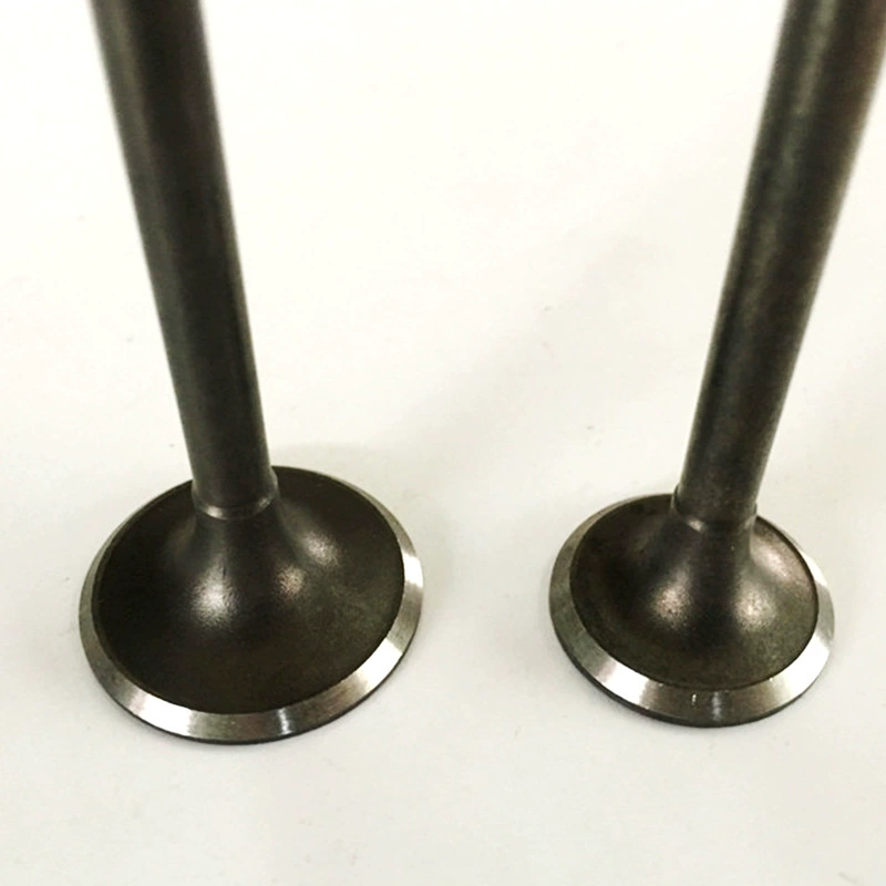 Аксессуары для мотоциклов Leopard SRZ150 Tiger JYM150 SRV150 клапан комбинированный Леопардовый клапан