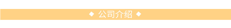 公司介绍
