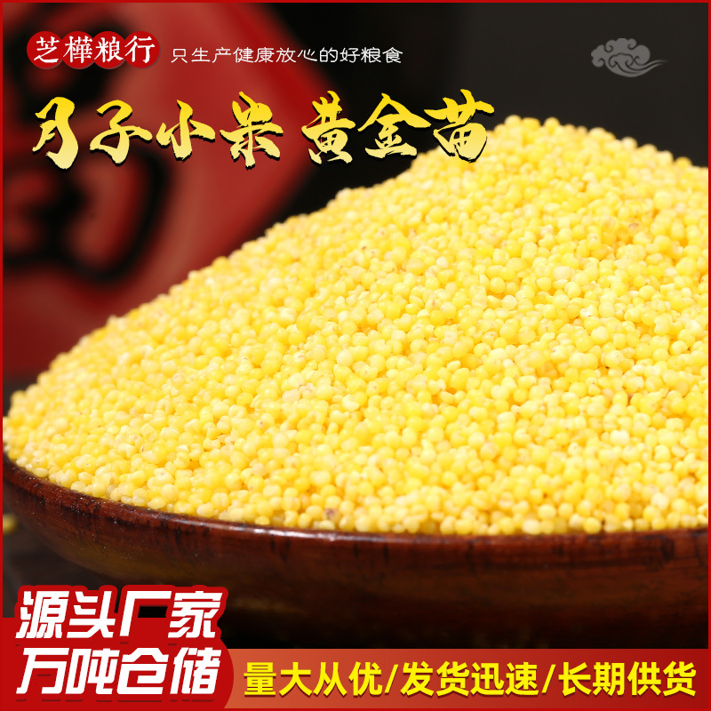 19 millet Ferrer east Inner Mongolia Chifeng specialty millet The month Millet gruel raw material 25kg