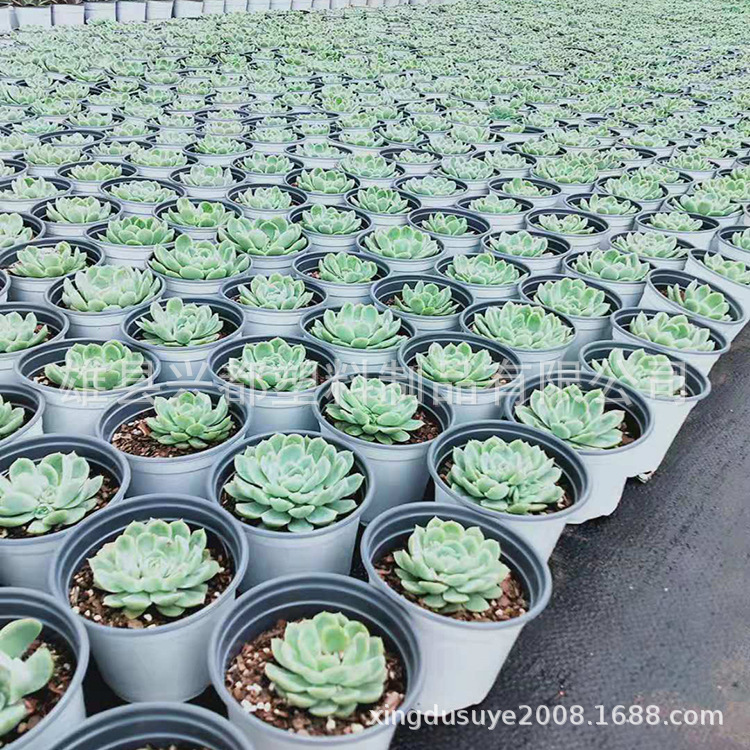 微信图片_201907271736154