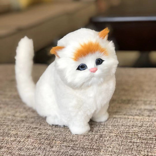 ����؈���о��^��ͯ��߼Ҿ��҃�����ɳ�l�[��؈��ģ�����նY��